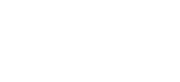 COMPANY INFORMATION